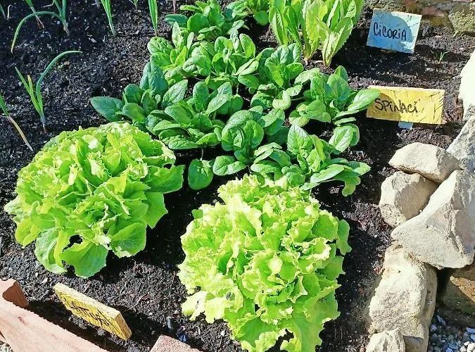 Un Posto Nel Oda ve Kahvaltı 3*